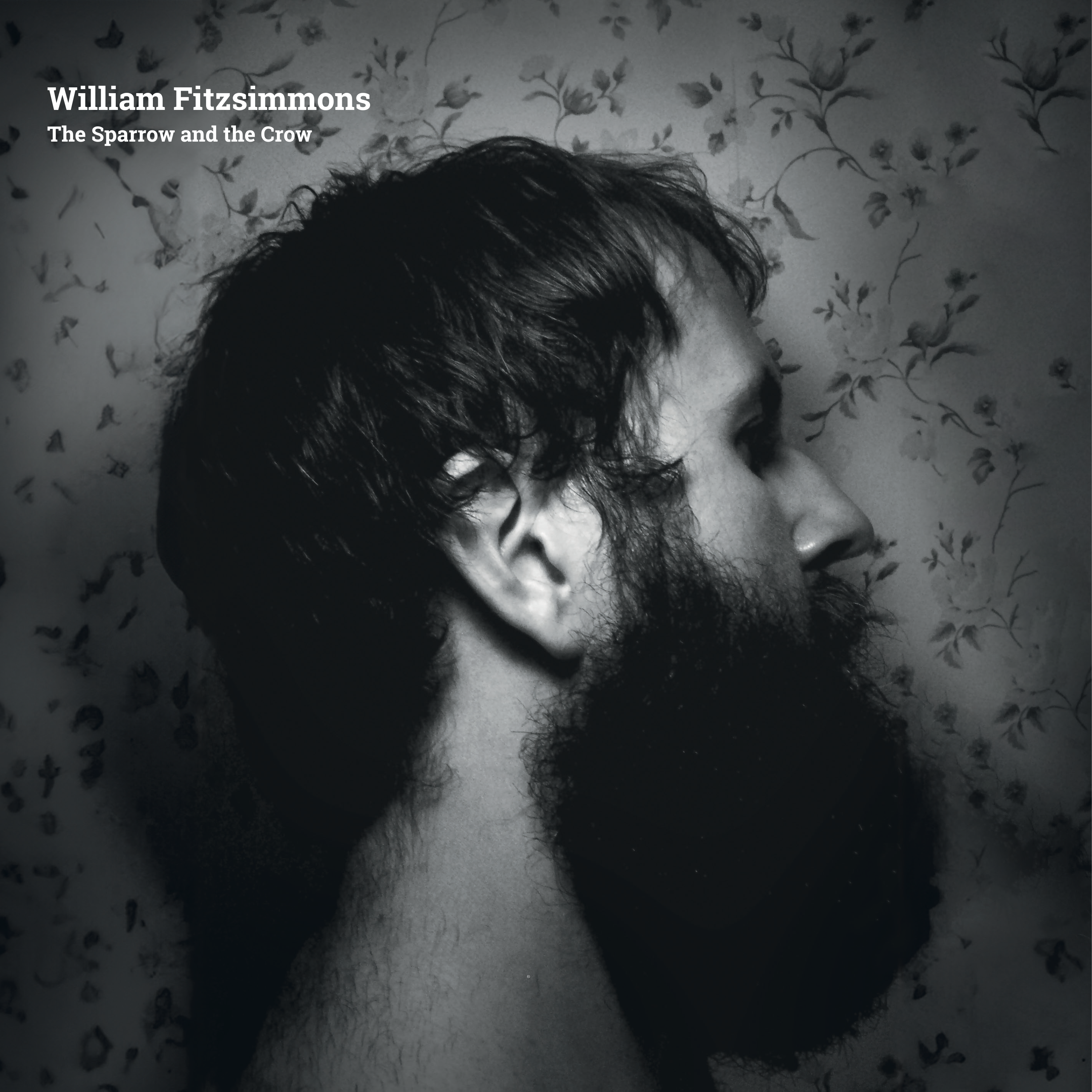 William Fitzsimmons - The Sparrow and the Crow/ Derivatives - 15th Anniversary - Limited 2LP
