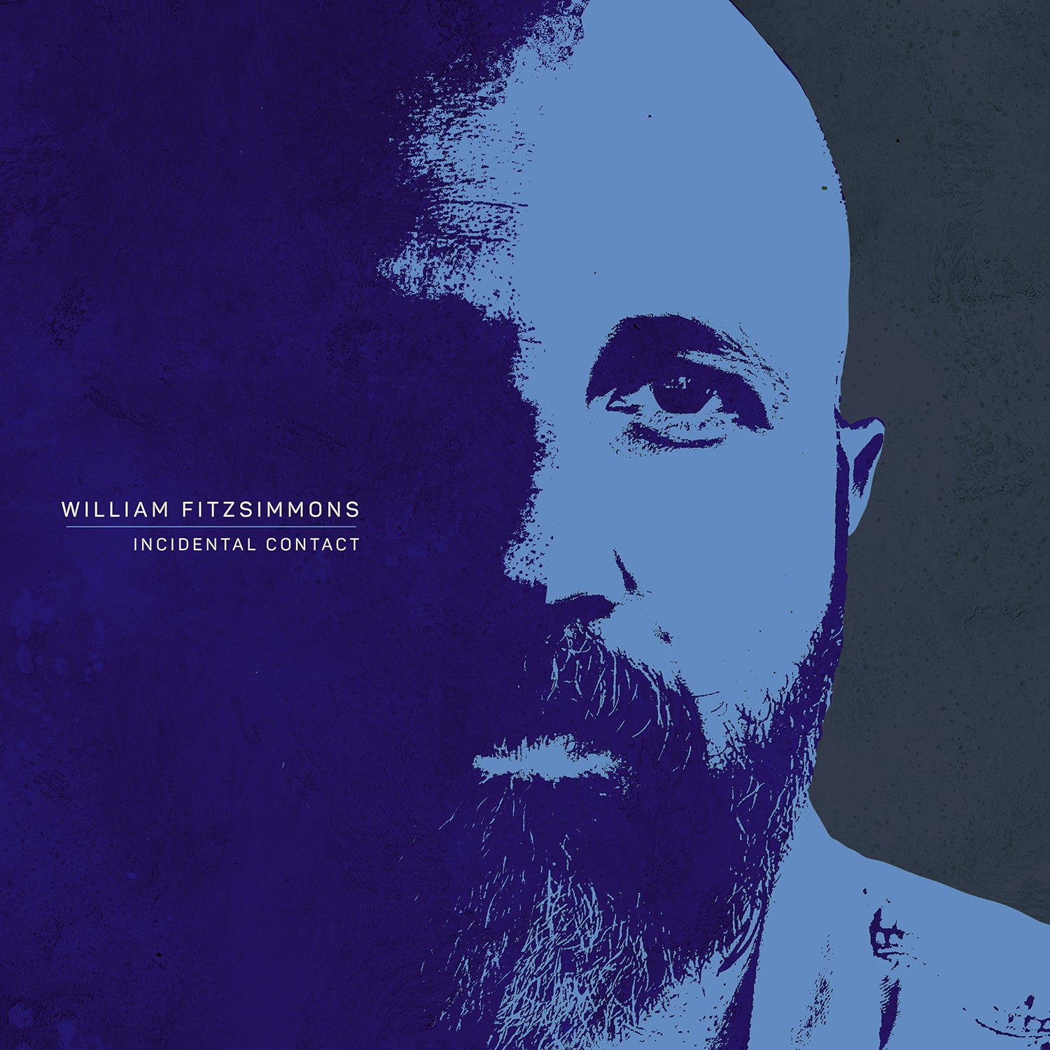 William Fitzsimmons - Incidential Contact - LP - limited