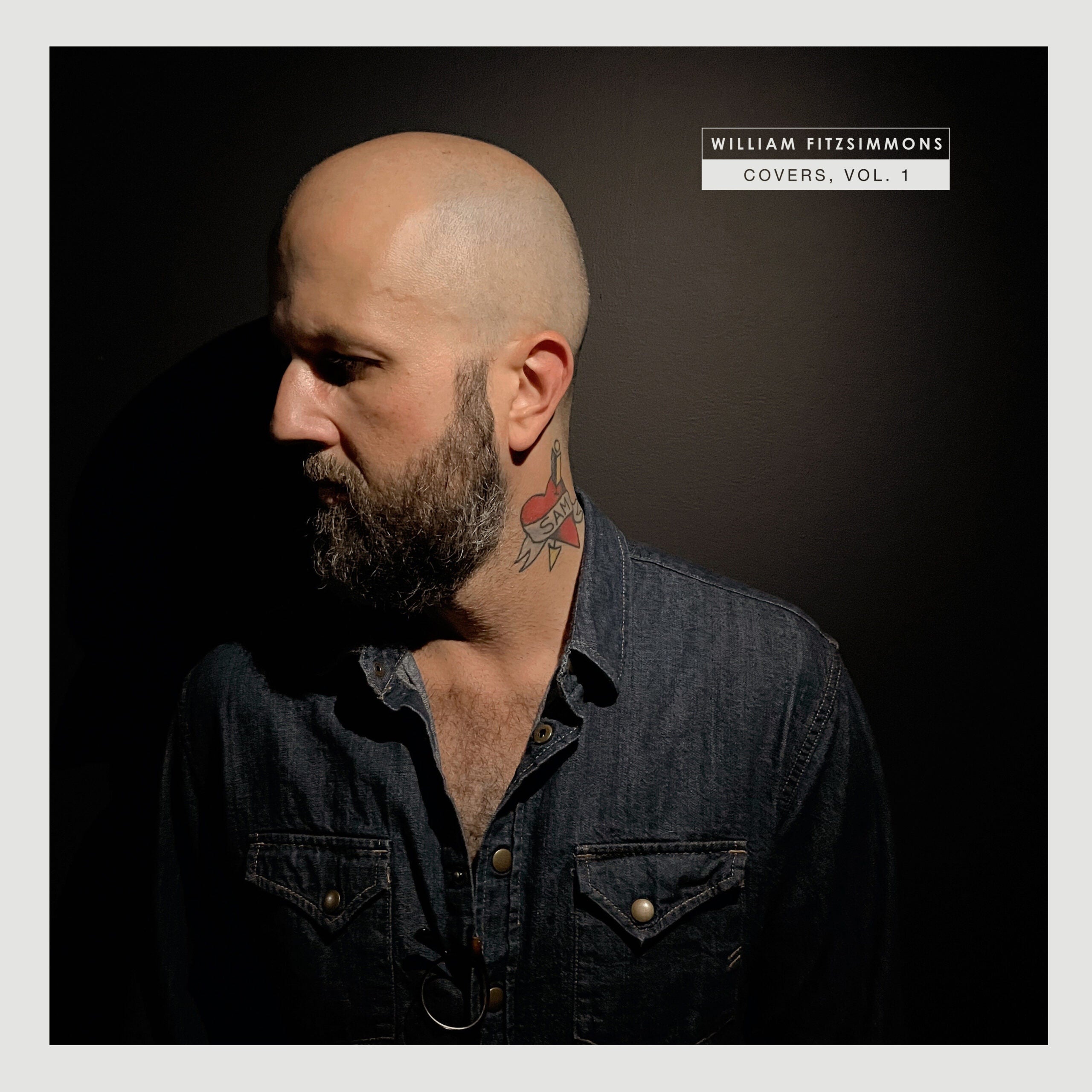 William Fitzsimmons - Covers Vol. 1 - LP