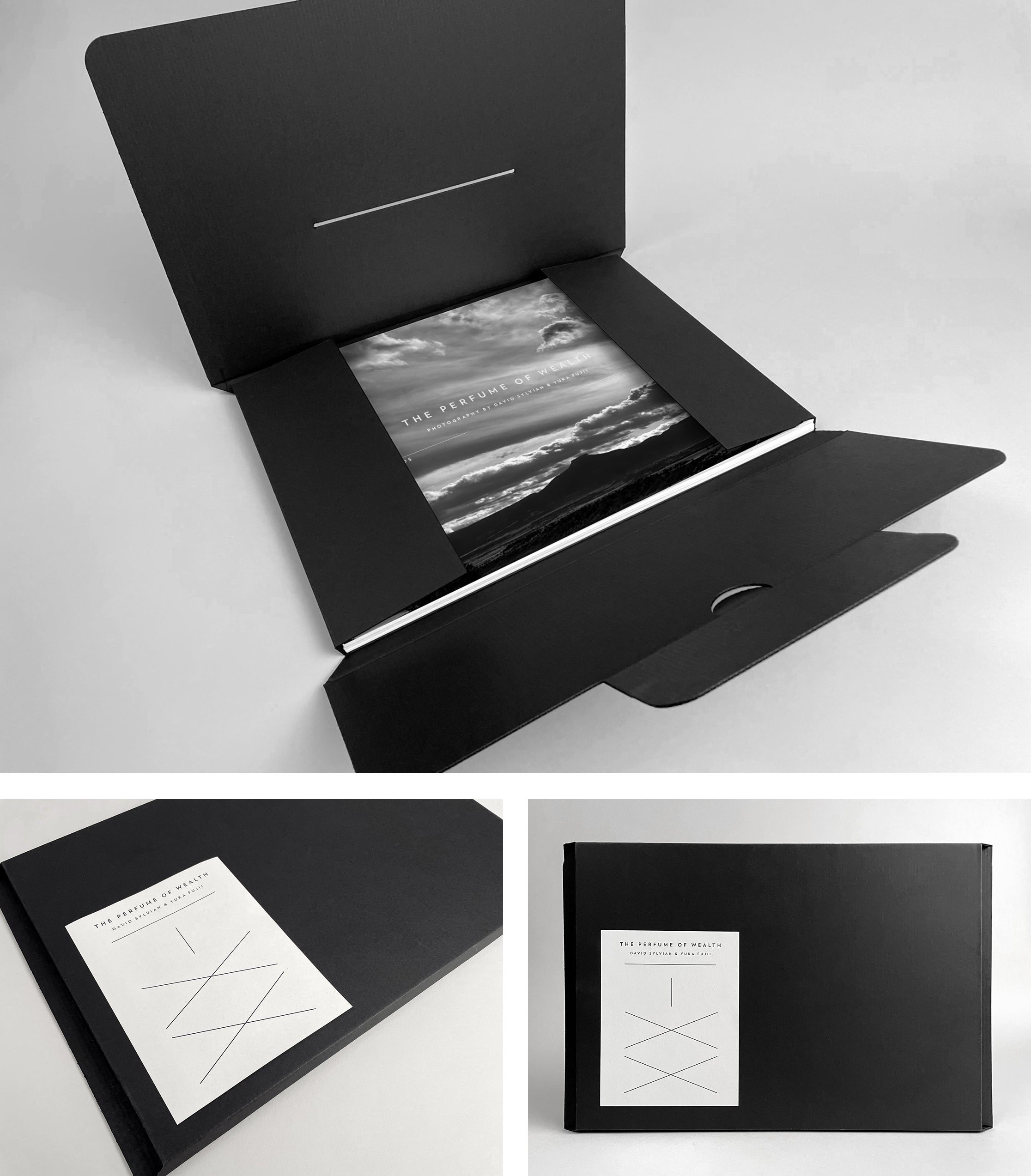 David Sylvian - The Perfume Of Wealth - Photographic Prints
