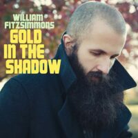 WILLIAM FITZSIMMONS 'Gold in the shadow' - VINYL